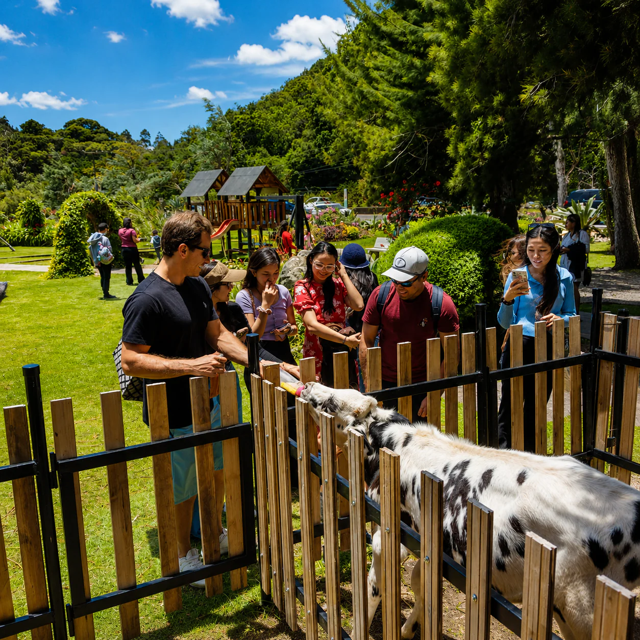 Estadía en Habitación Deluxe para 2 Adultos y 2 Niños + Desayuno por solo $105 en el Hotel Bambito - Image 10