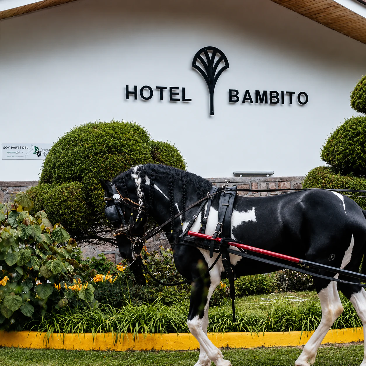 Estadía en Habitación Deluxe para 2 Adultos y 2 Niños + Desayuno por solo $105 en el Hotel Bambito - Image 14