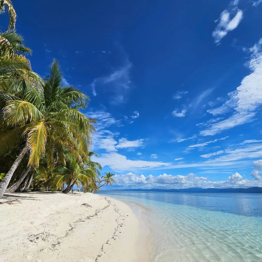 Pasadía en San Blas + Tour + Almuerzo y Bebida por $35 con An Nabba San Blas - Image 8