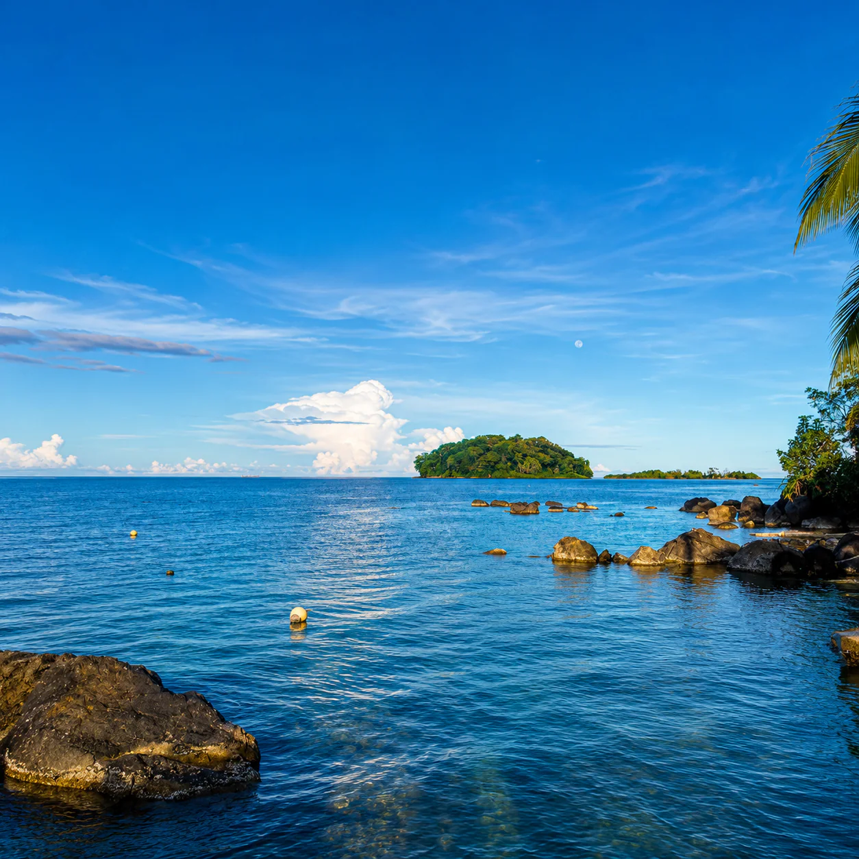 Pasadía en Isla del Tesoro + Almuerzo Incluido por solo $12.50 en Scuba Portobelo - Image 13